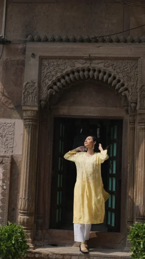 Zuneria Chikankari Long Kurta set